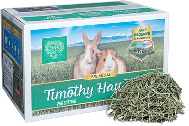 Small Pet Select Second Cut Timothy Hay Small Animal Food, 20-lb box