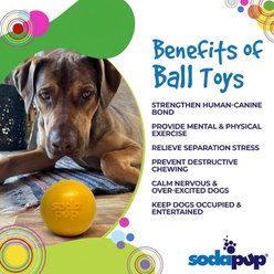 SodaPup Durable Water Squeak Ball Dog Chew Toy, Medium, Yellow slide 2 of 8