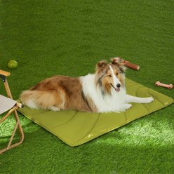 Allisandro Portable Outdoor Travel Dog Mat Lightweight Water Resistant Foldable Pet Mat with Carrying Bag, 38 x 29-in, Olive Green