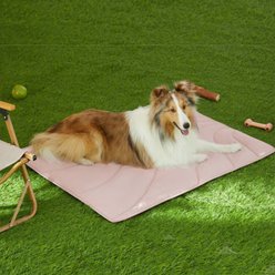 Allisandro Portable Outdoor Travel Dog Mat Lightweight Water Resistant Foldable Pet Mat with Carrying Bag, 38 x 29-in, Pink