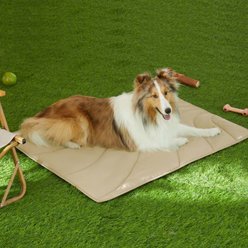 Allisandro Portable Outdoor Travel Dog Mat Lightweight Water Resistant Foldable Pet Mat with Carrying Bag, 38 x 29-in, Khaki