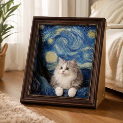 NonoPets Van Gogh Starry Night Art Framed Design Hollow Hideaway Cat Toy