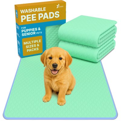 Green Lifestyle Green Lifestyle Quick Dry Washable Pee Pads Unscented Dog Potty Training System, Blue/Green, 34 x 36-in, 10 count