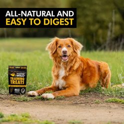 Mountain Wild Training High-Protein Elk & Venison Soft & Chewy Dog Treats, 4-oz bag slide 2 of 9