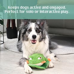 HugSmart Tree Frog Squeaky Crinkle Plush Dog Toy, Green, Small/Medium: 9 x 8.6 x 4-in slide 2 of 5