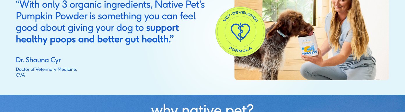 A veterinarian's endorsement is displayed on a light blue background alongside a photo of a smiling blonde woman in blue scrubs feeding Native Pet Pumpkin powder to an eager brown dog. A quote from Dr. Shauna Cyr praises the three-ingredient powder as a great way to support healthy poops and better gut health. A bright green badge in the center proudly notes that the product features a vet-developed formula.