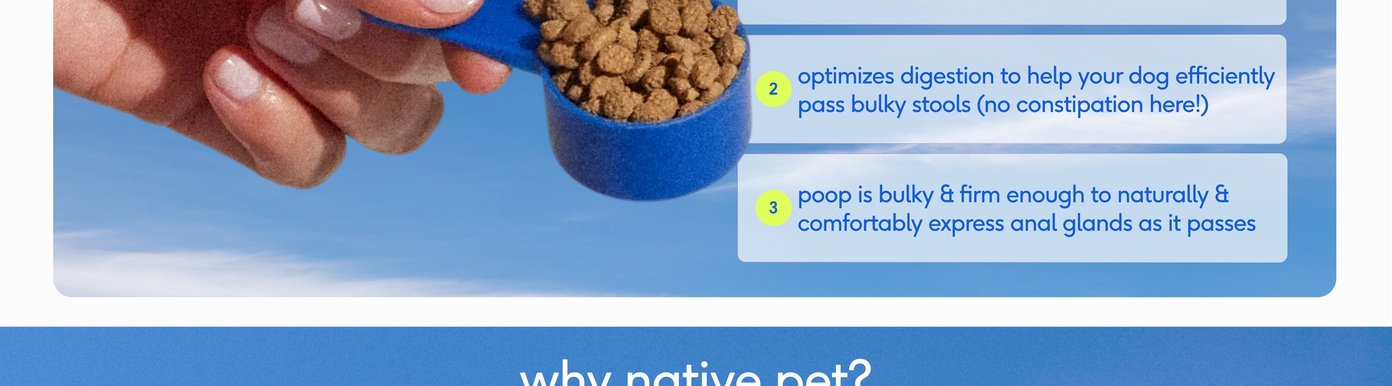 This instructional graphic for Digital-Poster-ArtboardArtboard-6.jpg completes the three-step explanation of how the supplement functions against a clear blue sky backdrop. A hand holds a blue scoop full of brown kibble pellets next to a white panel detailing steps two and three: optimizing digestion to help dogs efficiently pass bulky stools without constipation, and ensuring poop is bulky and firm enough to naturally and comfortably express anal glands as it passes. The section concludes at the bottom with a bold blue banner asking why native pet to introduce the brand's core values.