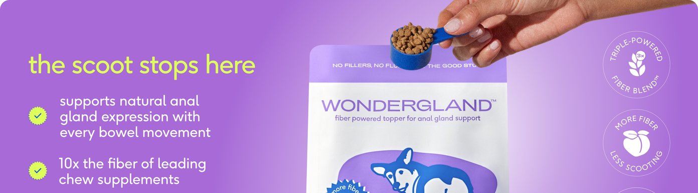 This opening graphic for Digital-Poster-ArtboardArtboard-1.jpg features a vibrant purple background introducing Native Pet's Wondergland fiber-powered topper for anal gland support. A hand holds a blue scoop filled with brown supplement pellets over the product packaging, which claims no fillers, no fluff, and just the good stuff. Text highlighted with green checkmarks on the left notes that it supports natural anal gland expression with every bowel movement and contains ten times the fiber of leading chew supplements, backed by circular badges promoting a triple-powered fiber blend for less scooting.