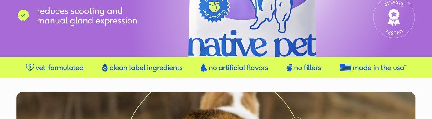 This section for Digital-Poster-ArtboardArtboard-2.jpg highlights product quality claims against a purple and lime-green background, showing the bottom of a Native Pet Wondergland pouch with a circular badge indicating it is number one taste tested. A prominent green checkmark emphasizes that the topper reduces scooting and manual gland expression. A bright green horizontal banner at the bottom displays clean graphic icons confirming that the product is vet-formulated, contains clean label ingredients, has no artificial flavors, has no fillers, and is proudly made in the USA.