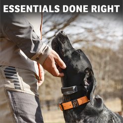 SportDOG Rugged Utility Outdoor Use Dog Collar, Orange, Medium: 12 to 19-in neck, 1-in wide slide 2 of 8