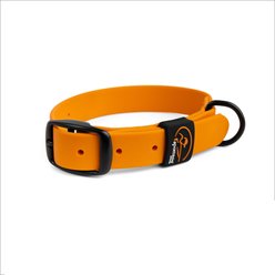 SportDOG Rugged Utility Outdoor Use Dog Collar, Orange, Medium: 12 to 19-in neck, 1-in wide