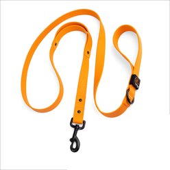 SportDOG Rugged Utility Outdoor Use Dog Leash, 6-ft long, 1-in wide, Orange