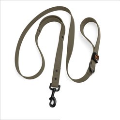 SportDOG Rugged Utility Outdoor Use Dog Leash, 6-ft long, 1-in wide, Moss Green