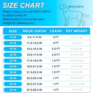 BARKBAY Slip Lead for Dog Collar & Leash, Sapphire Blue, 11.5 to 13.5-in neck, 3/8-in wide