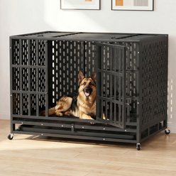 Xbrigh Ultra-Durable Vandal-Resistant Indoor Double Door Dog Crate, Black, 42-inches