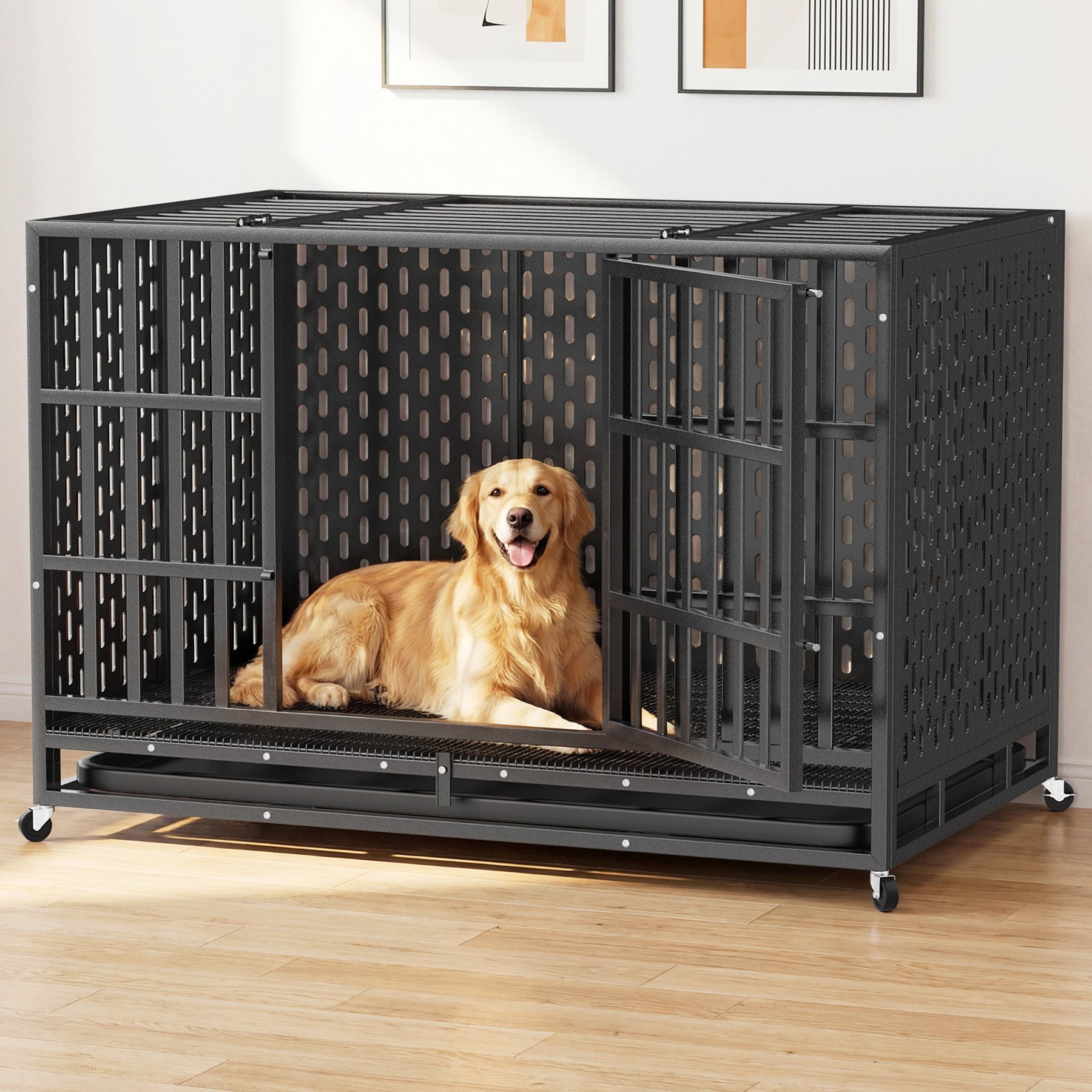 Xbrigh Ultra-Durable Vandal-Resistant Indoor Double Door Dog Crate, Black, 48-inches