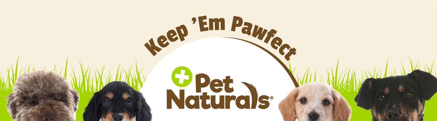 This closing visual from Digital-Poster-ArtboardArtboard-7.jpg showcases the central Pet Naturals logo underneath an arched headline reading "Keep 'Em Pawfect." Four distinct, expressive puppy heads peek up over a bright green blade-of-grass border against a soft cream background.
