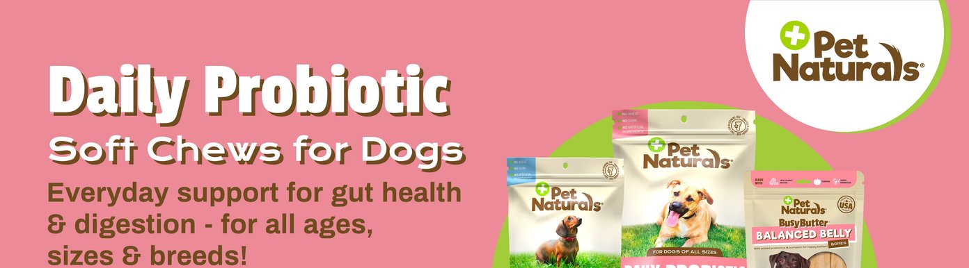 This introductory banner from Digital-Poster-ArtboardArtboard-1.jpg features the bold headline "Daily Probiotic Soft Chews for Dogs" alongside text promising everyday support for gut health and digestion across all dog ages, sizes, and breeds. The Pet Naturals brand logo is displayed on the upper right within a circular graphic, sitting above the tops of three illustrated supplement product pouches on a solid pink background.