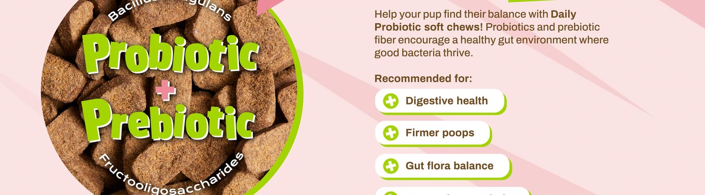 This detailed graphic from Digital-Poster-ArtboardArtboard-4.jpg presents a circular close-up of textured, brown bone-shaped treats with "Probiotic + Prebiotic" written in bright green text. The section includes the headline "Keep 'Em Balanced" and notes that the chews use Bacillus coagulans and Fructooligosaccharides to support digestive health, firmer stools, gut flora balance, and regularity.