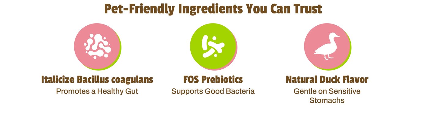 : This ingredient breakdown from Digital-Poster-ArtboardArtboard-6.jpg features the title "Pet-Friendly Ingredients You Can Trust" above three distinct circular icons. These graphic elements represent Bacillus coagulans for a healthy gut, FOS Prebiotics for supporting good bacteria, and natural duck flavor to remain gentle on sensitive canine stomachs.