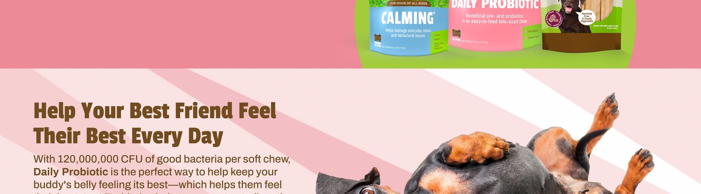 This visual asset from Digital-Poster-ArtboardArtboard-2.jpg showcases the lower portion of three Pet Naturals product pouches resting on a vibrant green circular backdrop against a pink field. The packages highlight Calming chews to help manage everyday stress, Daily Probiotic bite-sized chews for beneficial gut support, and a Balanced Belly BusyButter pouch designed for happy canine bellies.