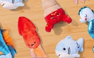 Shop Frisco summer toys and more