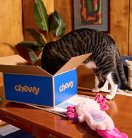 Deals to pounce on