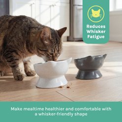 Kitty City Cat Ear Slow-Feed Elevated Cat Bowls, White & Grey, 6.5-oz, 2 count slide 2 of 6