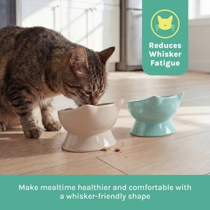 Kitty City Polypropylene Cat Ear Elevated Bowls, Pink & Teal Blue, 6.5-oz, 2 count