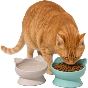 Kitty City Polypropylene Cat Ear Elevated Bowls, Pink & Teal Blue, 6.5-oz, 2 count