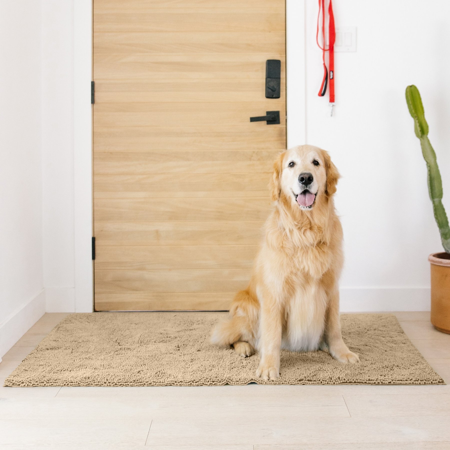My Doggy Place Microfiber Dog Doormat, Oatmeal, X-Large