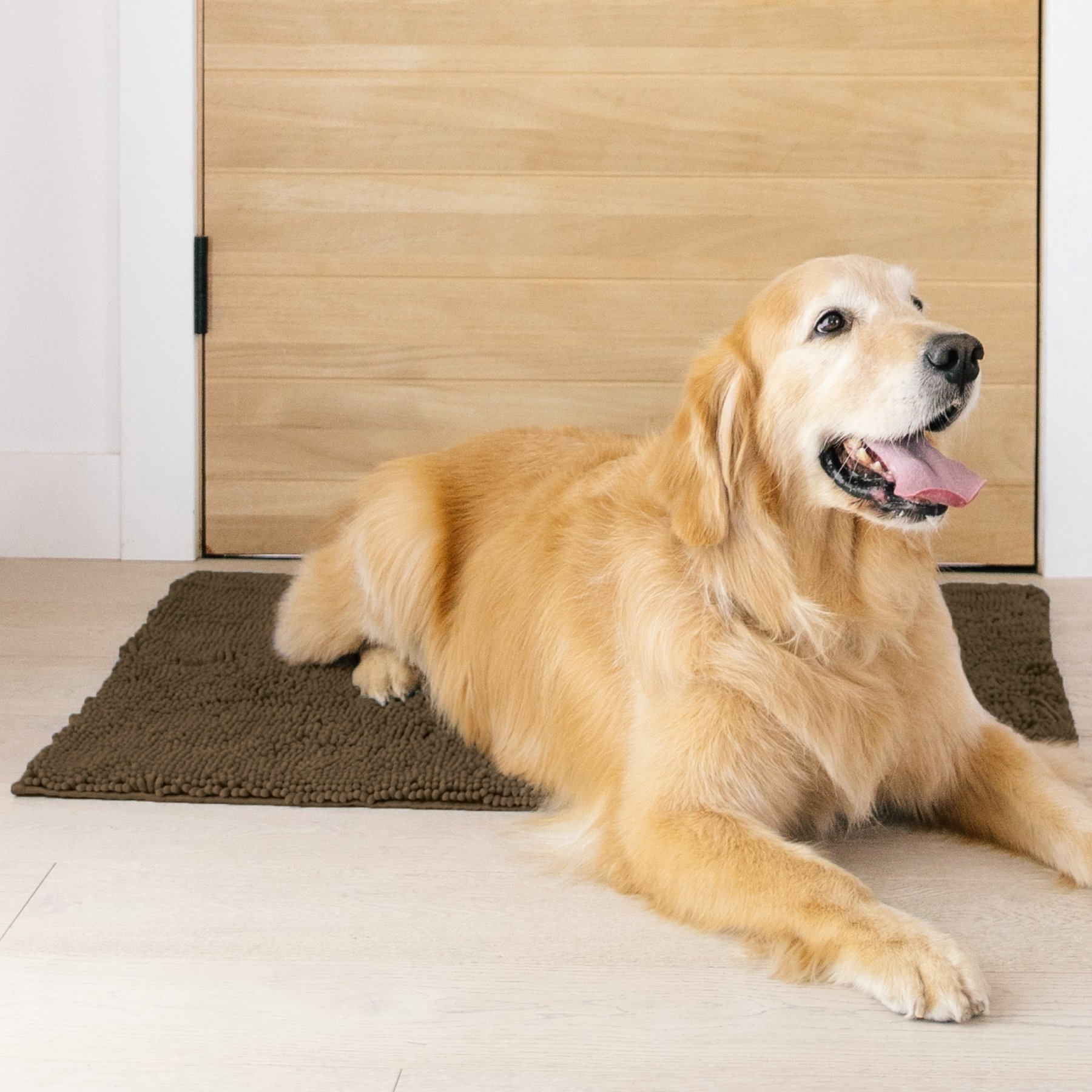 My Doggy Place Microfiber Dog Doormat, Brown, Large