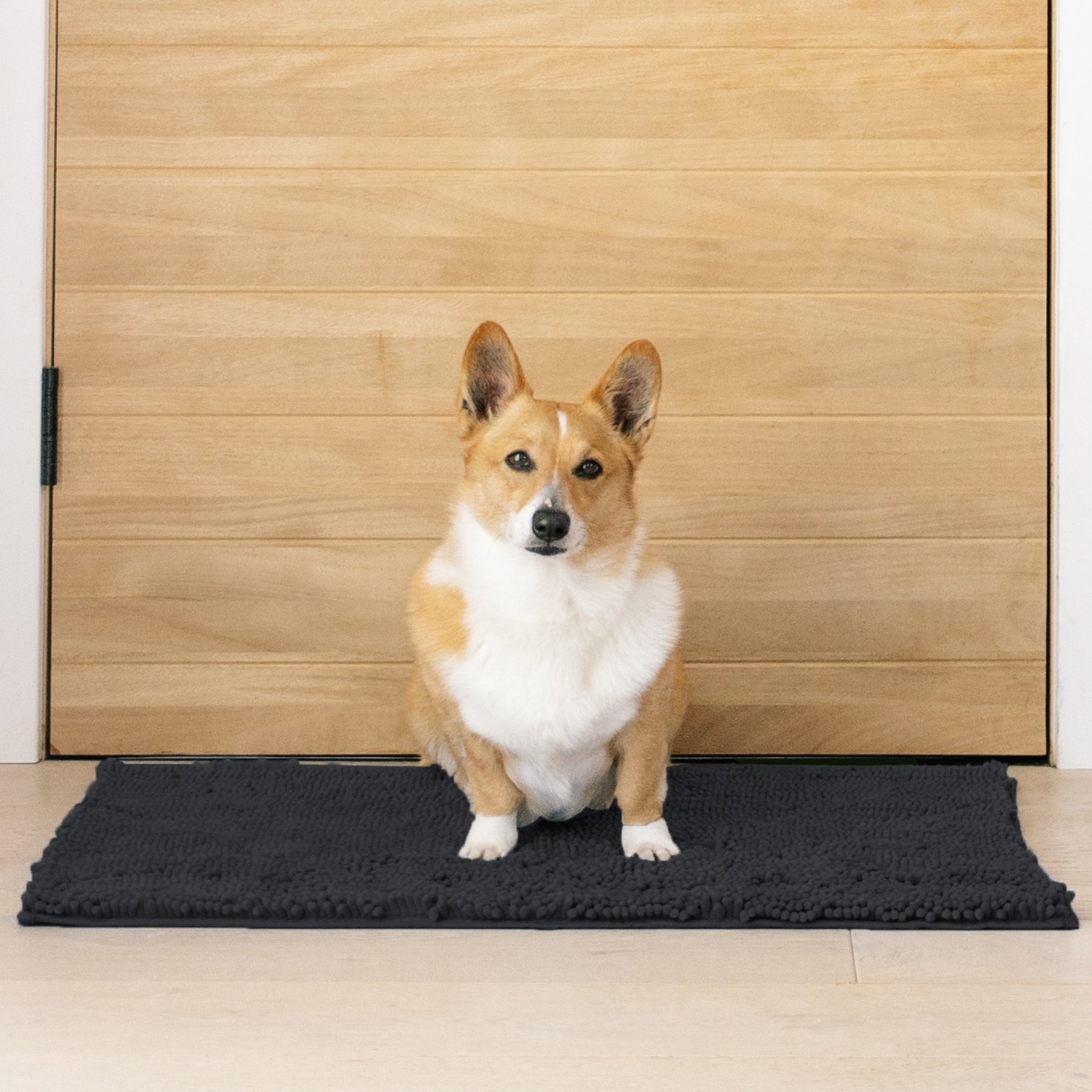 My Doggy Place Microfiber Dog Doormat, Charcoal, Medium