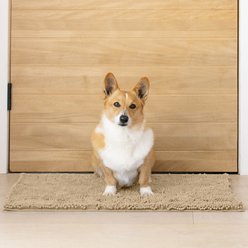 My Doggy Place Microfiber Dog Doormat, Oatmeal, Medium slide 1 of 7