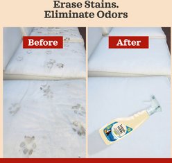 Lumi-noble Stain & Odor Removal, 16-fl oz bottle slide 2 of 7