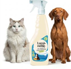 Lumi-noble Stain & Odor Removal, 16-fl oz bottle slide 1 of 7