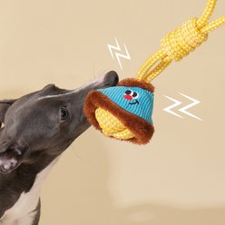 ZEZE Knot Ball Teeth Cleaning Hanging Loop Removable Velcro Crinkle Lantern Rope Tug Dog Toy, Yellow slide 2 of 9