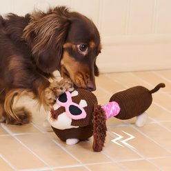 ZEZE Monica Stuffed Rope Squeaky Tail, Crinkle Ears, Rope Knot Body & Tug Handle Dachshund Dog Plush Toy, Brown