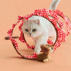 ZEZE Monica Spring Catnip Crinkle Feather & Bell Collapsible Spiral Tube Tunnel Cat Toy, Red slide 1 of 9