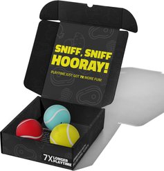 Playology Scented Squeaky Chew Variety-Pack Ball Dog Toy, Multicolor, Medium, 3 count
