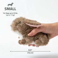 Playology Carrot Scented Bunny Plush Squeaky Dog Toy, Brown, Small slide 2 of 6
