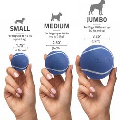 Playology Squeaky Chew Ball Hot Dog Scented Dog Toy, Blue, Medium slide 2 of 6