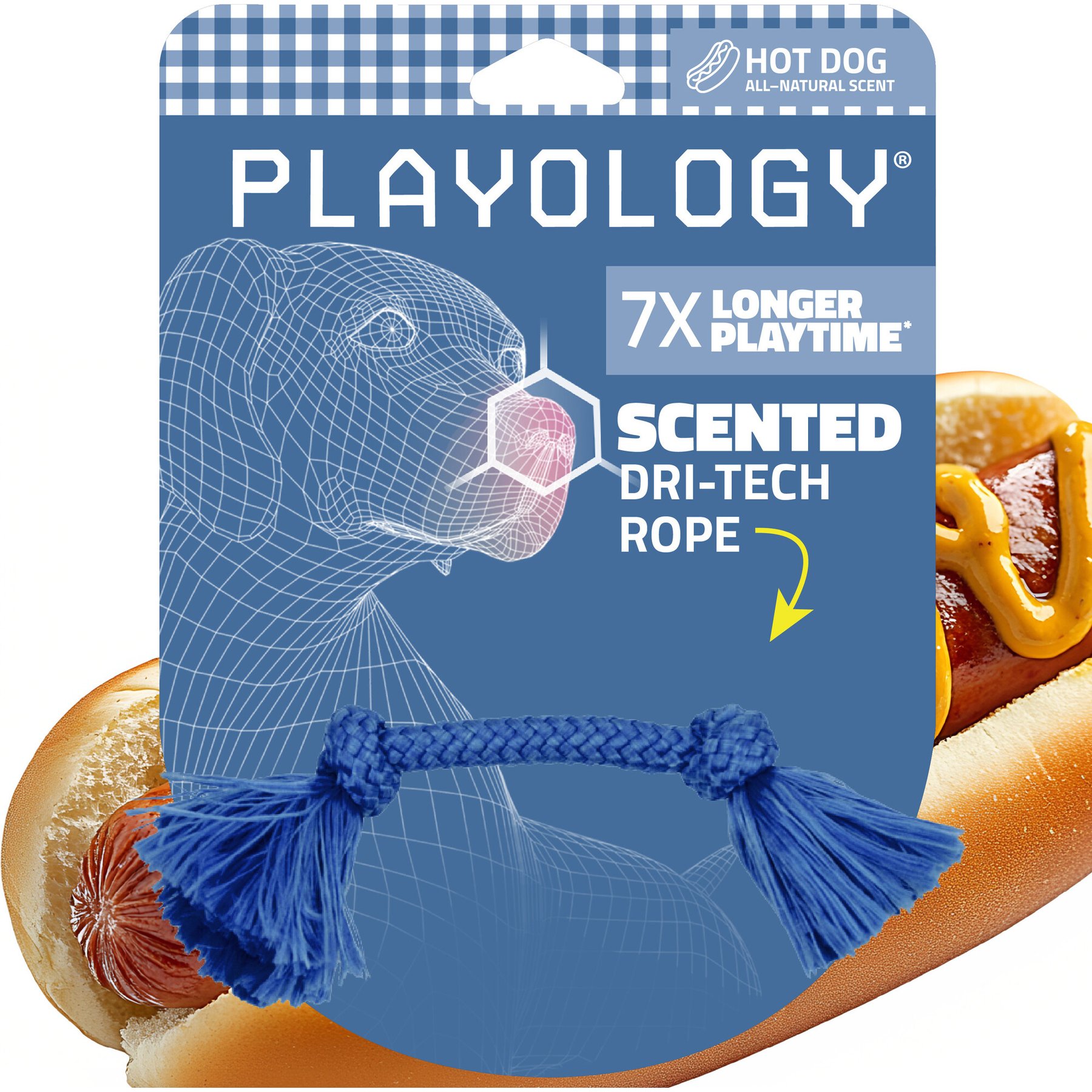 Playology Dri-Tech Rope Hot Dog Scented Dog Toy, Blue, Small