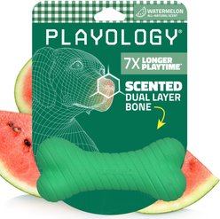Playology Dual Layer Bone Watermelon Scented Dog Toy, Green, Medium