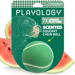 Playology Squeaky Chew Ball Watermelon Scented Dog Toy, Green, Medium