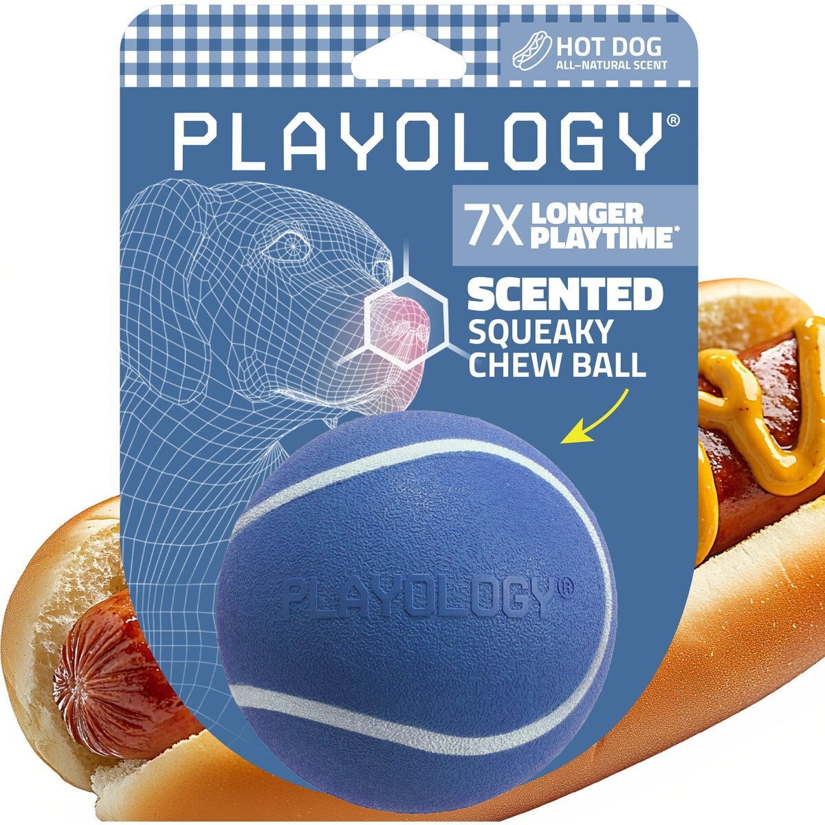 Playology Squeaky Chew Ball Hot Dog Scented Dog Toy, Blue, Jumbo