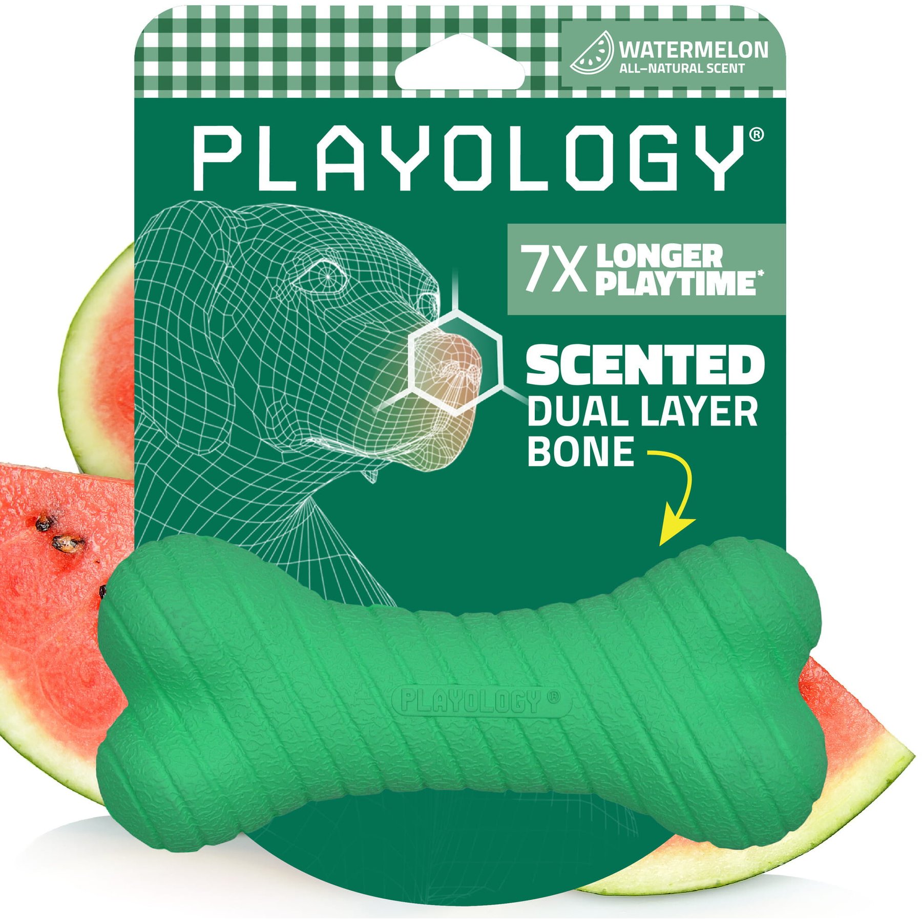 Playology Dual Layer Bone Watermelon Scented Dog Toy, Green, Jumbo