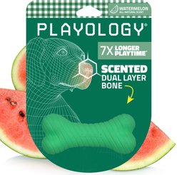 Playology Dual Layer Bone Watermelon Scented Dog Toy, Green, Small