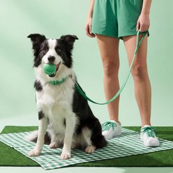 Playology Squeaky Chew Ball Watermelon Scented Dog Toy, Green, Medium slide 2 of 6