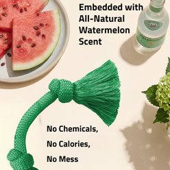 Playology Dri-Tech Rope Watermelon Scented Dog Toy, Green, Jumbo slide 2 of 6